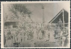 cca 1910-1920 Aratómunkások, eredeti üvegnegatívról készült újbóli előhívás, 9x12,5 cm
