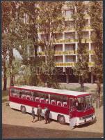 Ikarus 250-es autóbusz, színes fotó, 17x13 cm