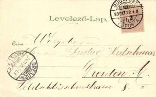 1899 Budapest XIV. Városligeti korcsolyapálya litho; Kunstanstalt Kosmos Serie IX. (EB)