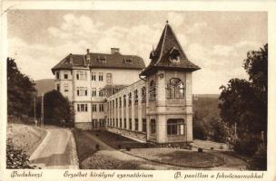 Budakeszi, Erzsébet királyné szanatórium, B. pavilon, fekvőcsarnok