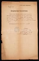 1878 Szegénységi bizonyítvány a II. kerületi elöljáróságától,kissé szakadozott szélekkel, 38x25cm