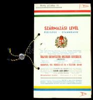 cca 1930 Pedigree, Származási levél, Minta példány felirattal! Bejegyzés nélkül,pp.:20,  19x12cm