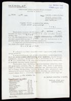 1947 Az Országos Közegészégügyi Intézet törzskönyvezi és forgalomba hozatalát engedélyezi a Varifix cinkenypólya nevű terméknek, 29x20cm