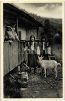Huculok visszatérése a legeltetésről / Transcarpathian folklore, Hutsuls, goat