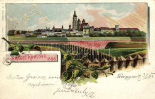 1899 Hradec Kralove in 1866 J. V. Dvoracek floral (EK)