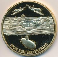 Amerikai Egyesült Államok DN "Amerikai Egyesült Államok Haditengerészete" aranyozott, fest...