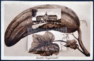 Nagykőrös, tök, leporellocard