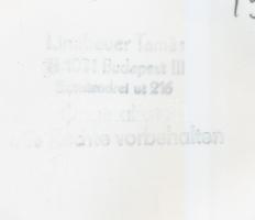 Linzbauer Tamás: Budapest, Villamos, pecséttel jelzett fotó, 9x14 cm