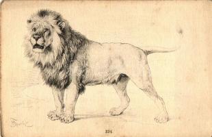 Lion s: August Specht