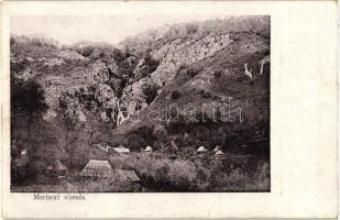 Merisor, Vízesés; Kendoff A. és fia kiadása / waterfall