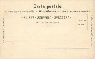 Lac Leman, Grand Hotel de Caux, Grand Hotel Territet, floral litho