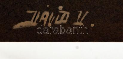 cca 1914 Ház a Thököly úton, kartonra kasírozott, retusált fotó, 17x21 cm, karton 30x36 cm