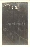 Budapest XIV. Állatkert, szarvas, photo