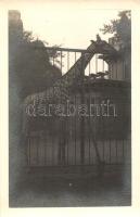 Budapest XIV. Állatkert, zsiráf, photo