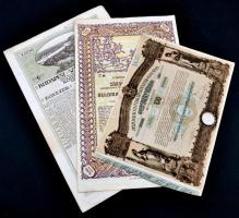 Budapest 1906. "Pesti Hazai Első Takarékpénztár-Egyesület Nyeremény-Kötvény bemutatóra" kö...