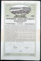 Budapest 1906. "Pesti Hazai Első Takarékpénztár-Egyesület Nyeremény-Kötvény bemutatóra" kö...