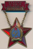 ~1950. "Szakma Kiváló Dolgozója - Közlekedés Építészet" zománcozott fém jelvény nem saját tokban, hátoldalán sorszám T:2