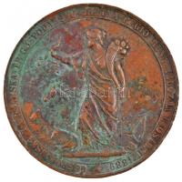Horvátország / Eszék 1889. "Regionális Gazdasági, Erdészeti és Iparművészeti Kiállítás Eszéken" Br emlékérem Szign.: LEISEK IN WIEN (60mm) T:3 patina Croatia / Osijek 1889. "Regional Economic, Forestry and Craft Exhibition in Osijek" Br medal. Sign.:LEISEK IN WIEN (60mm) C:F patina