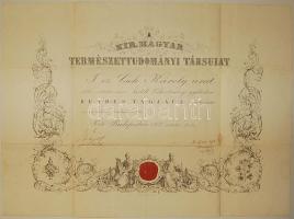 1874 A Kir. Magyar Természettudoményi Társulat dekoratív tagsági oklevele Balogh Kálmán, a Gyógyszertár Intézet Igazgatója, alelnök és Pehovics Gyula geológus másodtitkár aláírásával