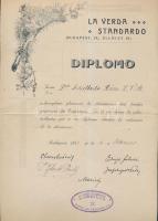 1911 Eszperantó bizonyítvány több aláírással, 34x21cm