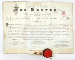 1909 Orvosi pergamen diploma, viasz függőpecséttel, pecséttartó fedél nélkül / Doctor's diploma