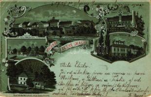 Ceská Skalice, Hrbitov, Zamek Ratiborice, Pomnik Bozeny Nemcové; Th. Böhm floral, Art Nouveau, litho (b)