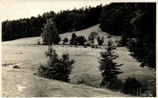 Kassa-Jahoda, Ottilia menedékház; Magyarországi Kárpát Egyesület / rest house, photo