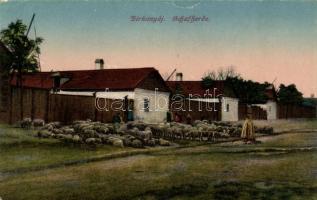Birkanyáj / Hungarian folklore, sheep