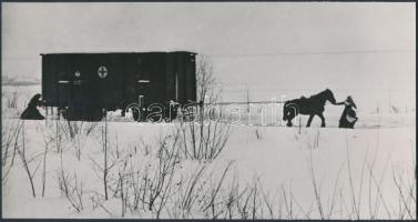 Lóvasút a hómezőkön, 12x24 cm