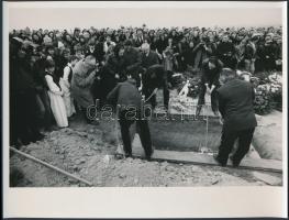 1975-1984 Dudás Juli, Marton Pálné (1919-1984) naiv festőnőről készült fényképek, feliratozva, 7 db ...