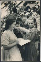 cca 1940 Szovjet propaganda sajtófotó az uborkatermésről, lapszéli szakadás, 23x15 cm