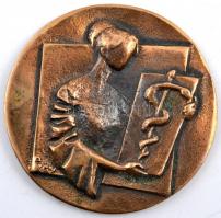 1986. "EDSZ - V. Amatőr Képző- és Iparművészeti Kiállítás  1986 - Baja" Br plakett (62mm) ...