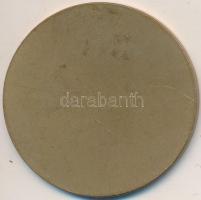 Szántó Gergely (1886-1962) 1927. "Királyi Magyar Egyetemi Nyomda" Br emlékérem (40mm) T:2