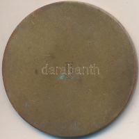 1973. "Szövetkezeti Jubileumi Sportversenyek 1948-1973" Br emlékérem (45mm) T:2