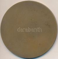 ~1980. "Jáki templom" Br emlékérem eredeti tokban (60mm) T:1