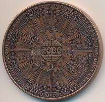 2000. "MÉE - Államalapítás ezredik évfordulója - Szent István" Br emlékérem (42,5mm) T:1
...