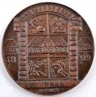 Peternák Gusztáv (1928-) 1974. "75 éves a tatabányai kórház" Br emlékérem (60mm) T:2