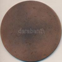 1981. "XII. Fül-Orr-Gégészeti Világkongresszus - Budapest, Magyarország" Br emlékérem (70m...