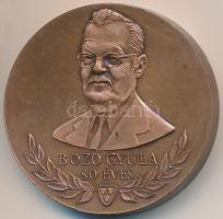 1993. "Bozó Gyula 80 éves" Br piefort emlékérem (42,5mm) T:2 apró ph.