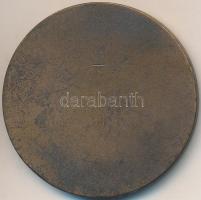 1976. "Országos Korányi TBC és Pulmanológiai Intézet - 1901-1976" Br emlékérem (40mm) T:2