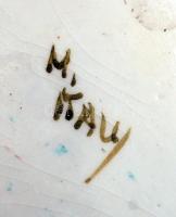 Jelzett párologtató, kézzel festett, máz alatti hajszálrepedésekkel, 20×10 cm