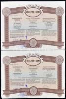 Budapest 1991. "Isolyth-STM Üveggyapot Részvénytársaság" 2db részvénye 10.000Ft-ról, mindkettő három nyelven, felülbélyegzéssel és szelvényekkel T:I