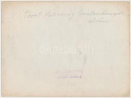 cca 1914 Istanbul hadba vonuló török katonákkal / Contsantinople Turkish soldiers going to war photo...