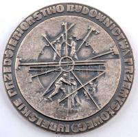 Lengyelország ~1970-1980. "Lublini Ipari és Építőipari Vállalat" fém emlékérem (60mm) T:2 Poland ~1970-1980. "Lublin Industrial and Construction Company" metal medal (60mm) C:XF