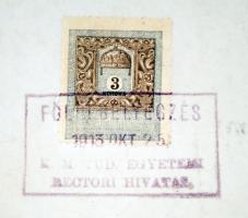 1913 Hajós Károly (1891-1976) neves belgyógyász, allergológus, orvosi diplomája függőpecséttel