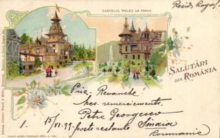 1899 Sinaia, Castelul Peles / castle, floral, Art Nouveau litho (EK)