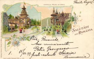 1899 Sinaia, Castelul Peles / castle, floral, Art Nouveau litho (EK)