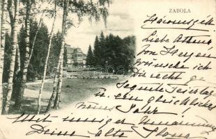 Zabola, Mikes kastély / castle (EK)