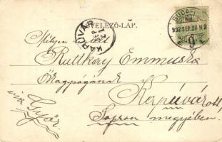 1902 Kossuth Lajos, Százéves születési évfordulója alkalmára / anniversary postcard (b)