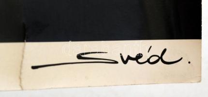 Svéd István: Lány oroszlánnal, jelzett fotó, felületén szakadással, 30,5x18,5 cm